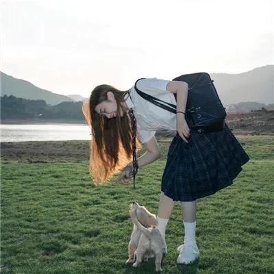 贵妃生存法则第二季